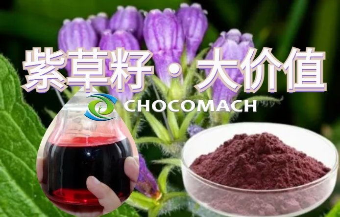 紫草籽油的加工之道│营养保留与品质提升的关键要素