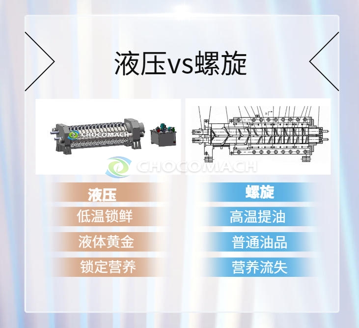 低温冷榨核桃油:液压技术加持下的 “液体黄金”,双螺旋榨油机难以企及的品质巅峰