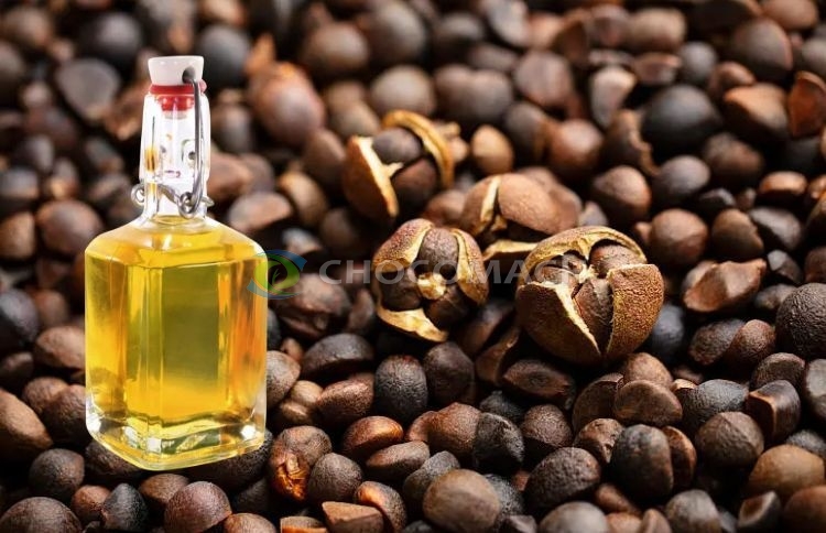 压榨匠心：还原油茶籽油本真醇香与天然营养