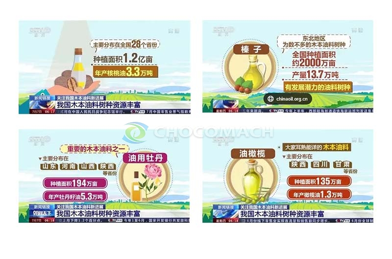 大食物观_重构大国食物安全的战略蓝图